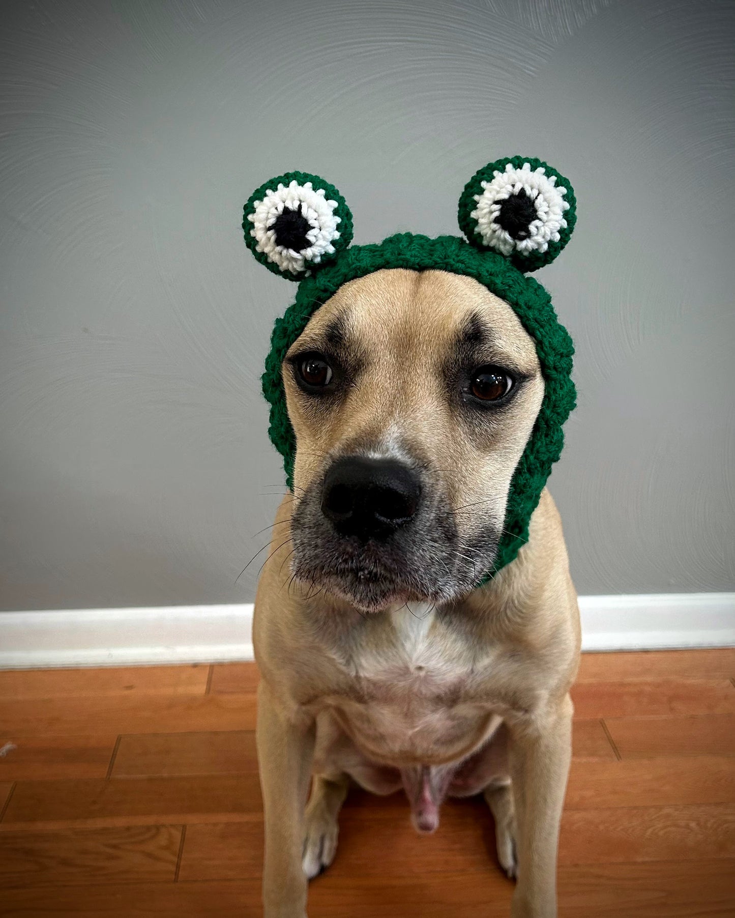 Crochet Frog Dog Snood Pattern