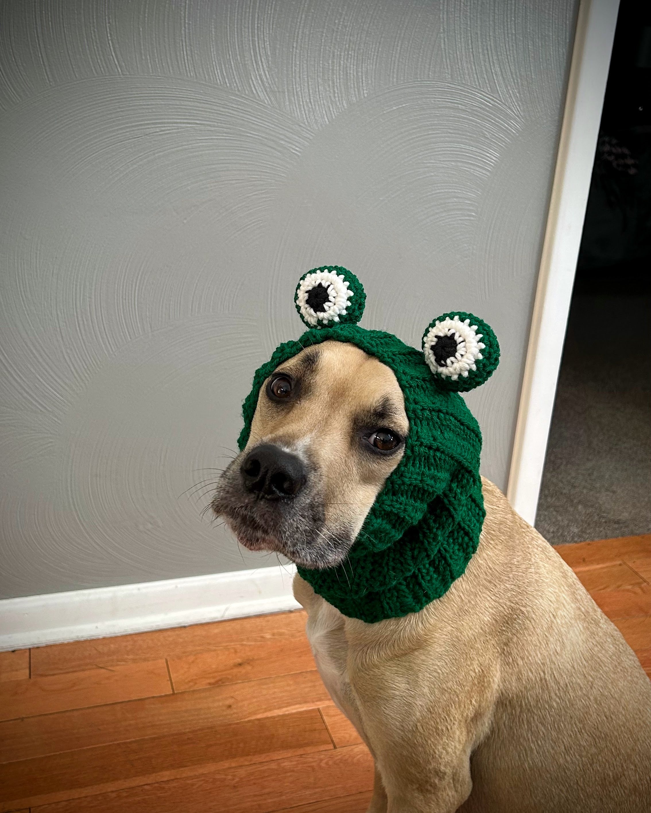 Crochet Frog Dog Snood Pattern - Handmade Crochet Patterns Dog Apparel – HookingCuteCreations