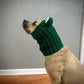 Crochet Frog Dog Snood Pattern