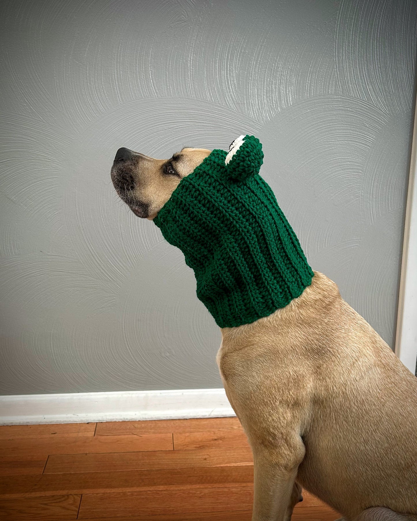 Crochet Frog Dog Snood Pattern