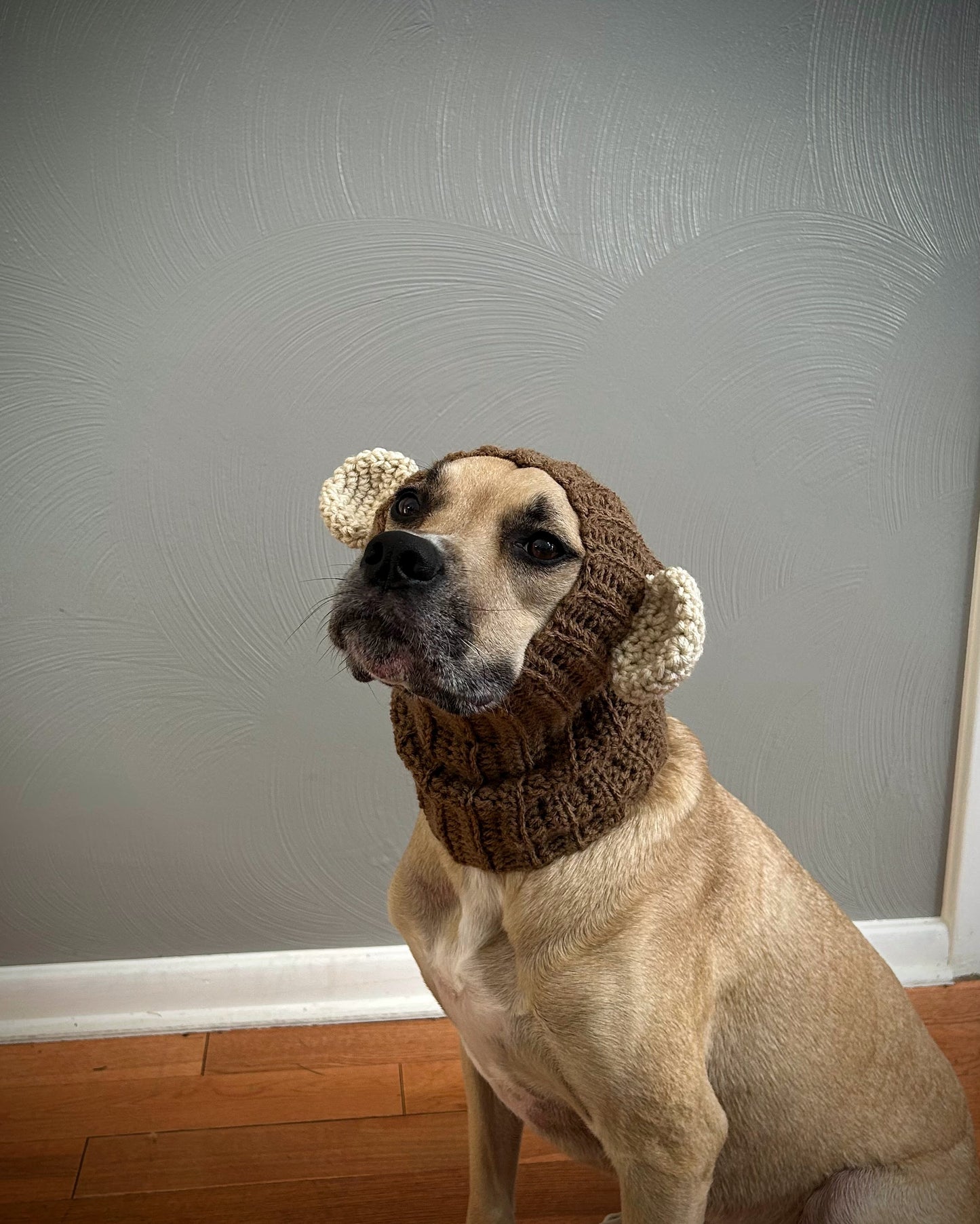 Crochet Monkey Dog Snood Pattern