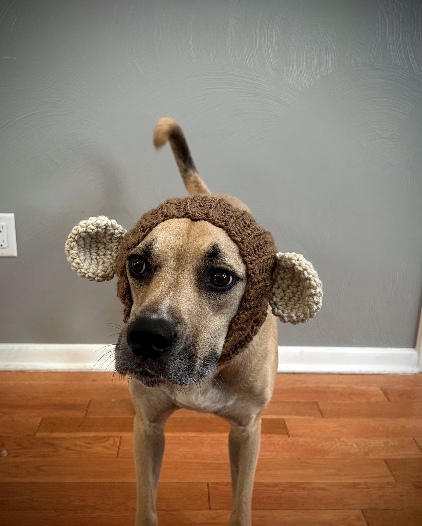 Crochet Monkey Dog Snood Pattern