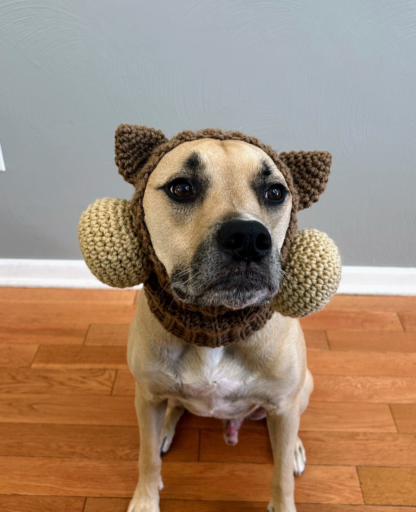 Crochet Dog Chipmunk Snood Pattern