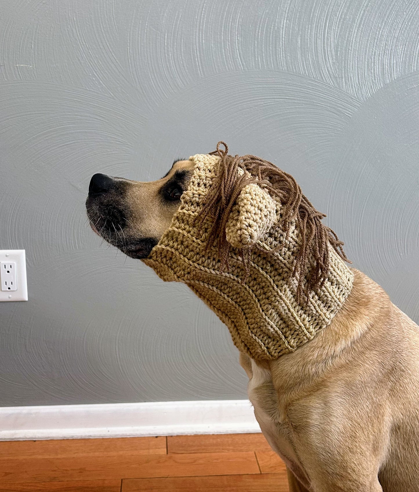 Crochet Horse Dog Snood Pattern