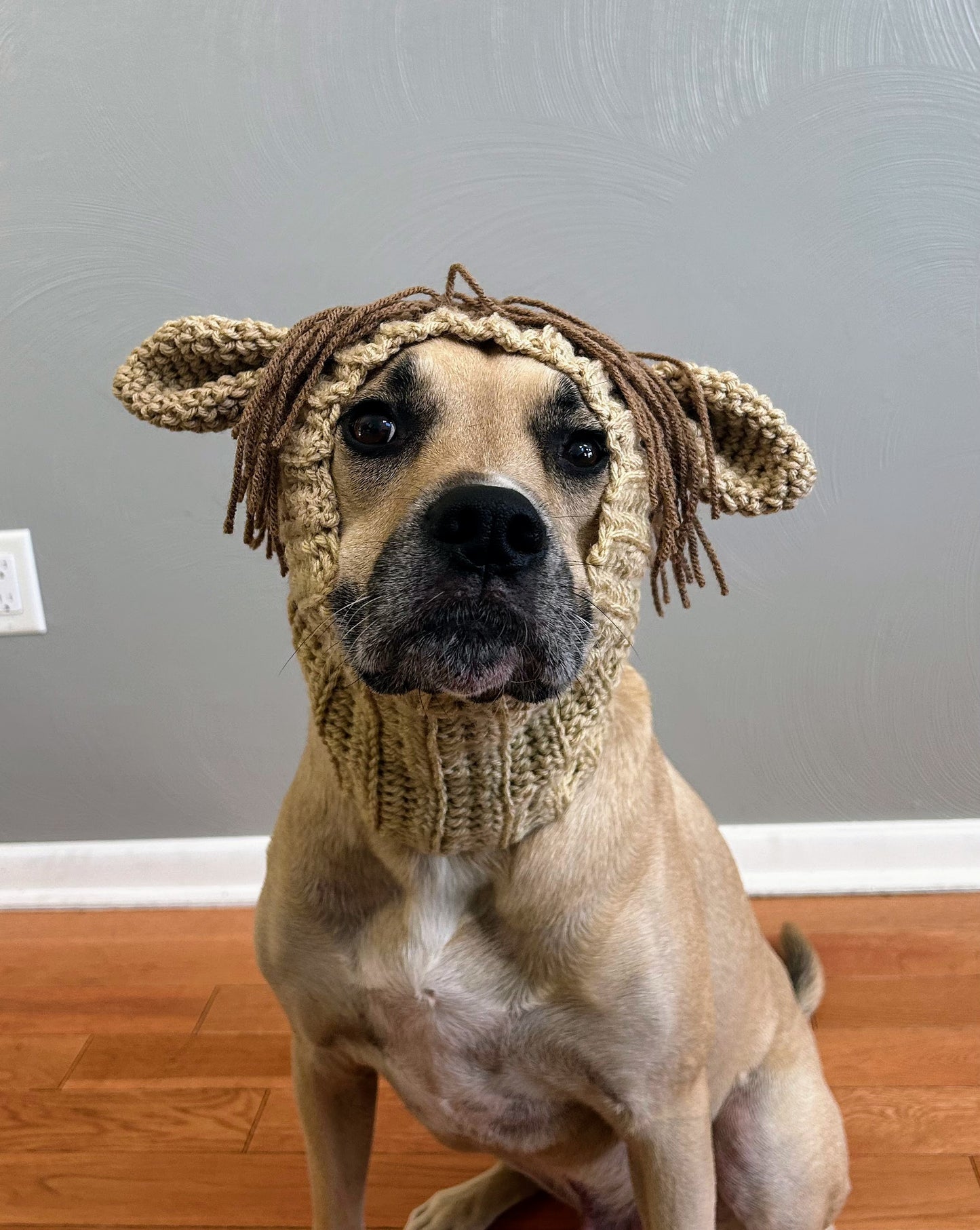 Crochet Horse Dog Snood Pattern