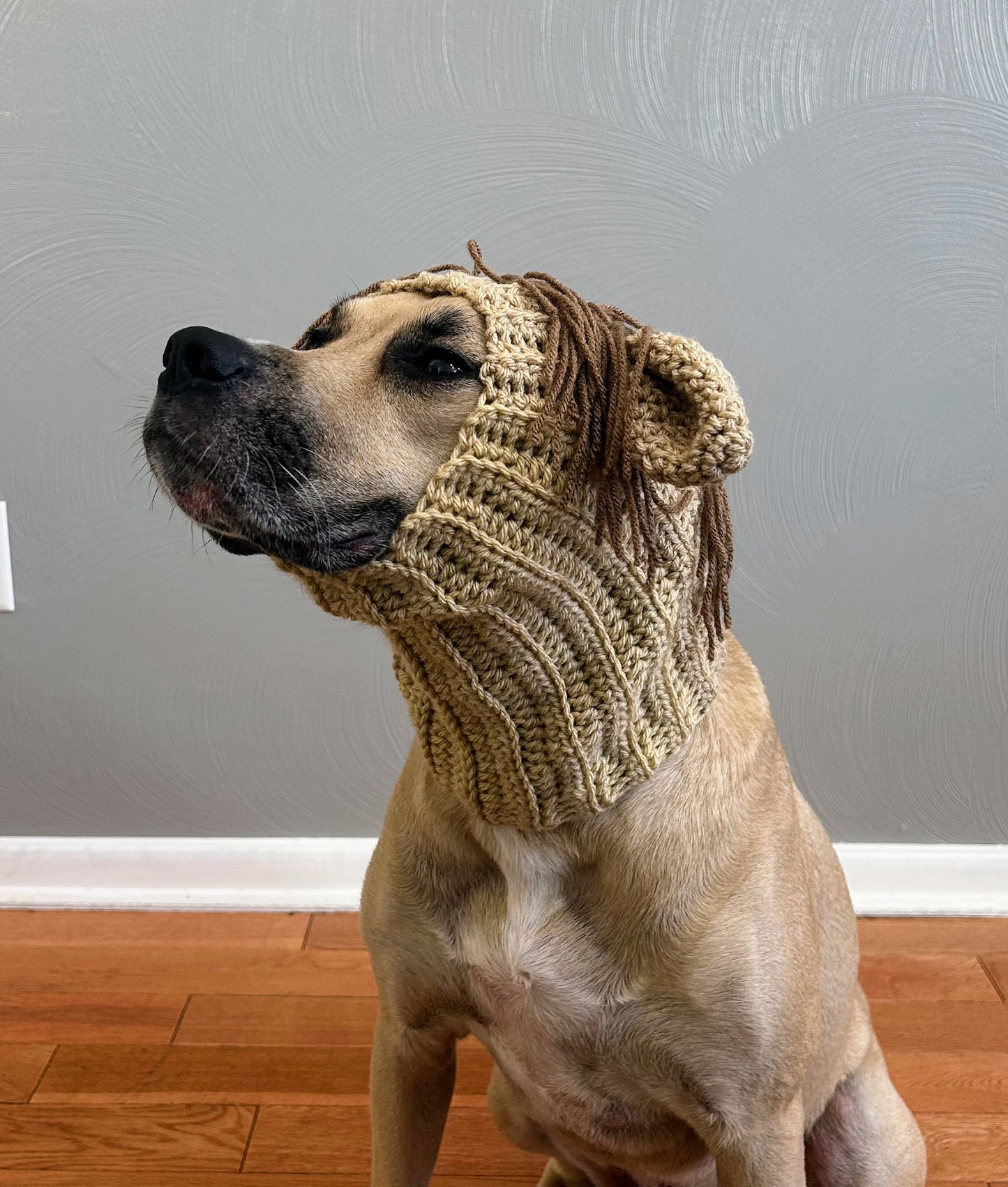 Crochet Horse Dog Snood Pattern