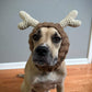 Crochet Deer Dog Snood Pattern