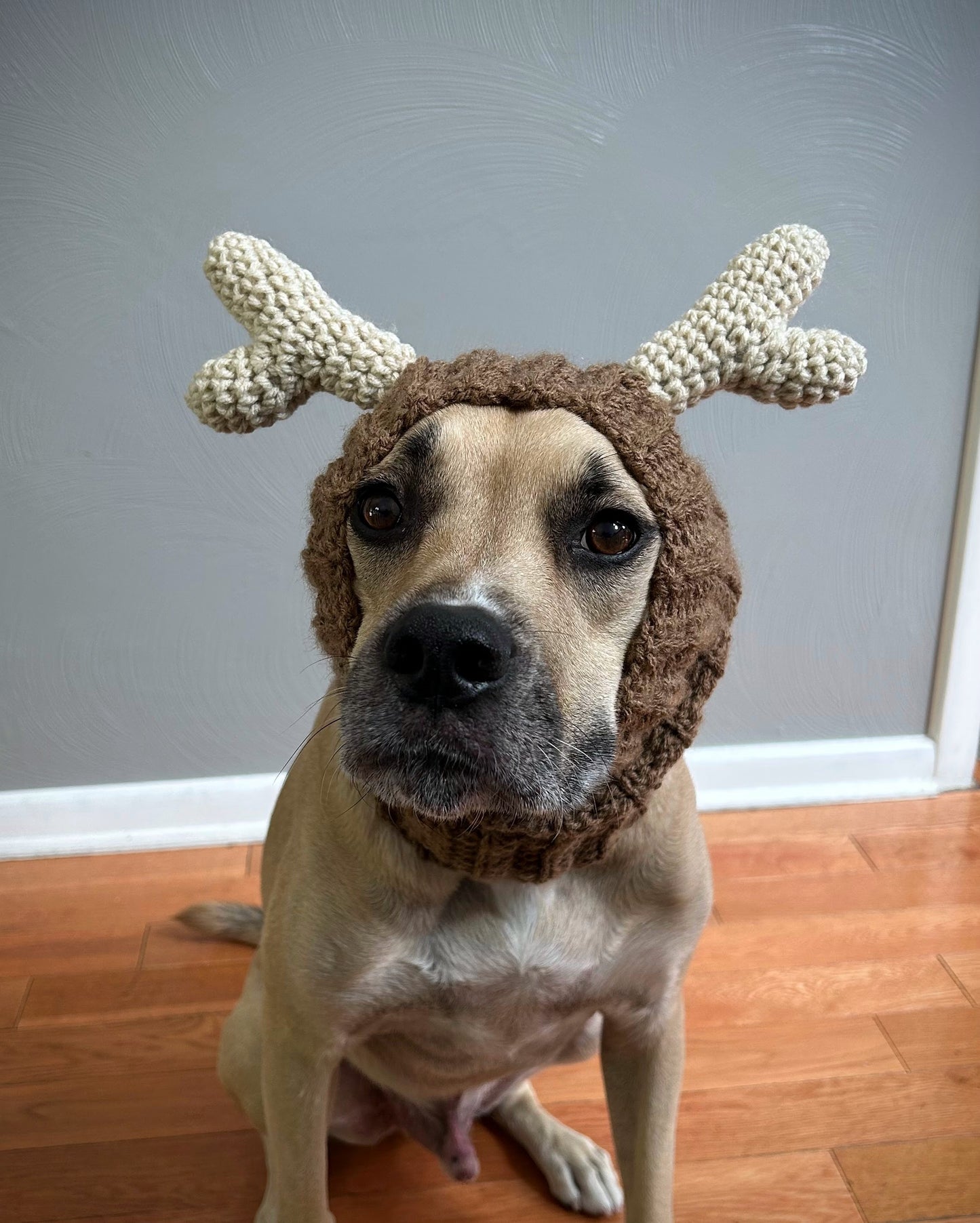 Crochet Deer Dog Snood Pattern