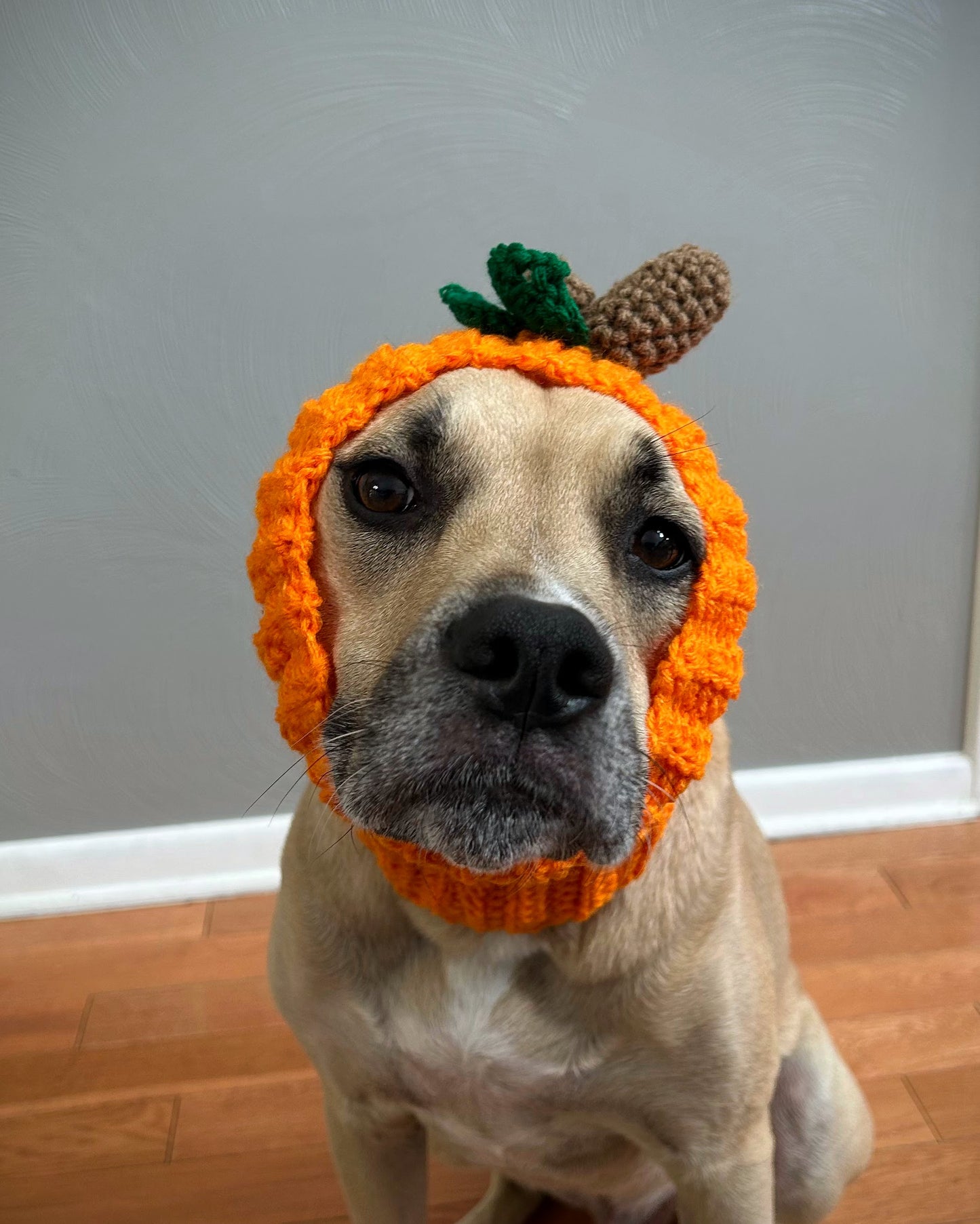 Crochet Dog Pumpkin Snood Pattern