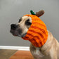 Crochet Dog Pumpkin Snood Pattern