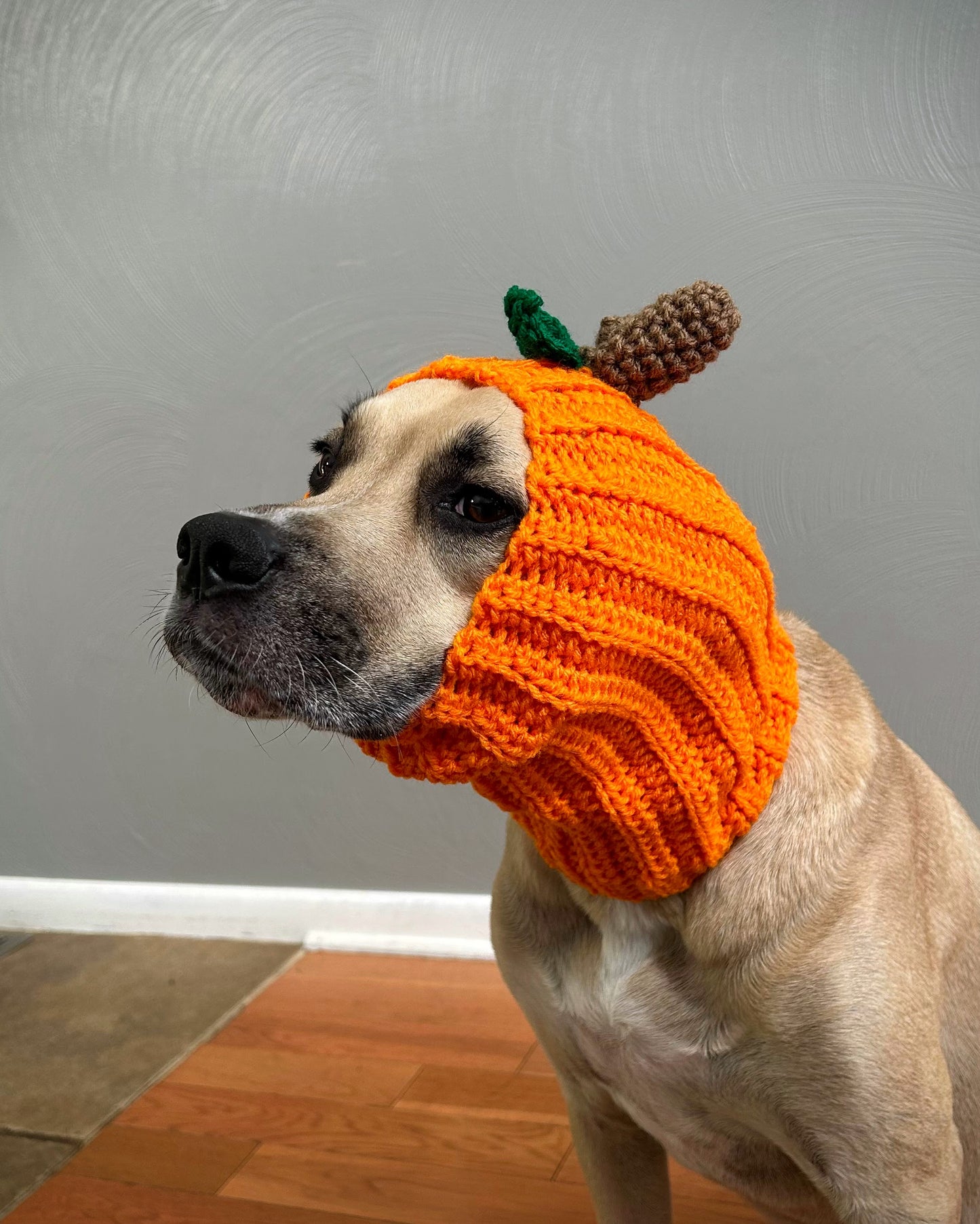 Crochet Dog Pumpkin Snood Pattern