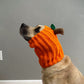 Crochet Dog Pumpkin Snood Pattern