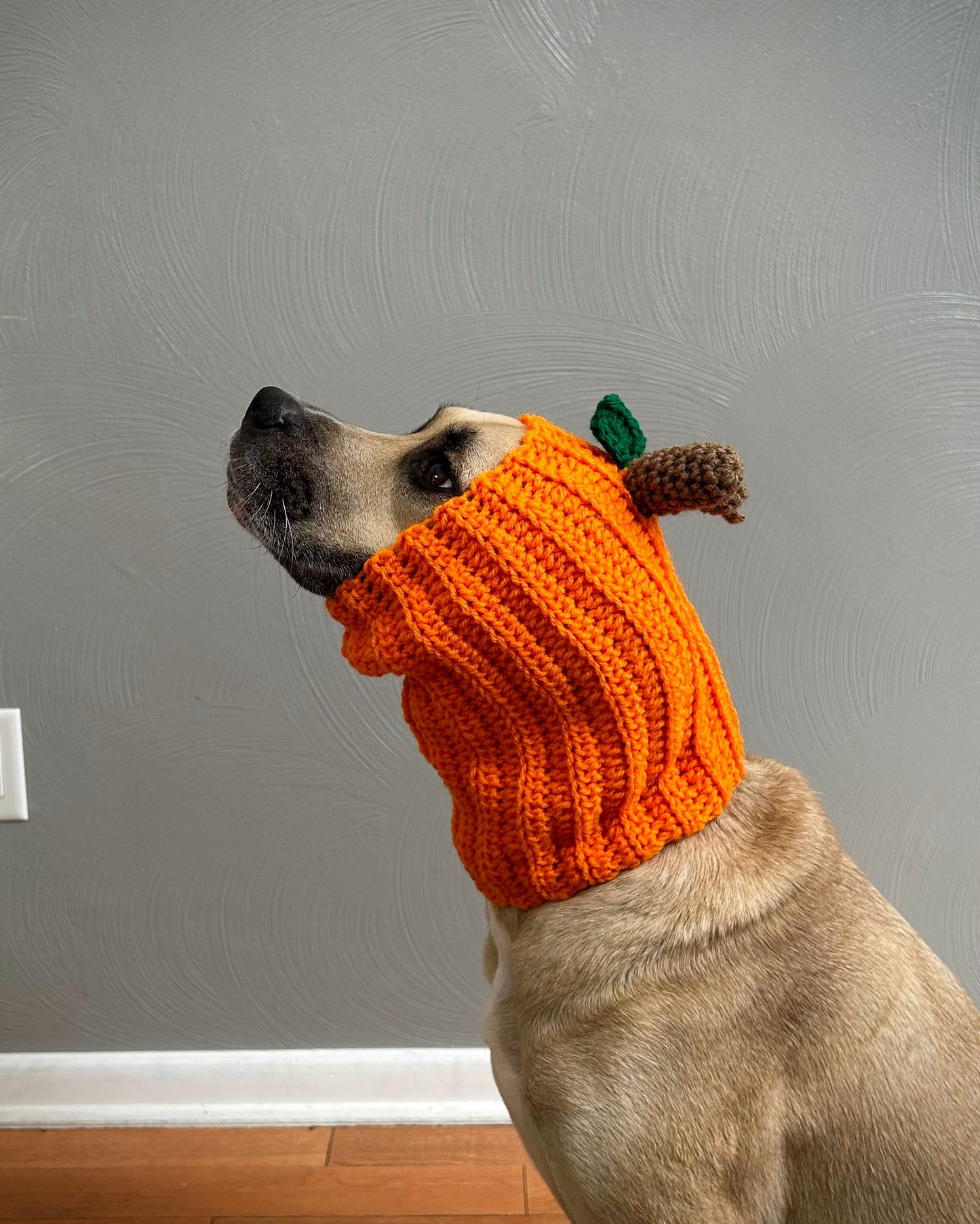 Crochet Dog Pumpkin Snood Pattern