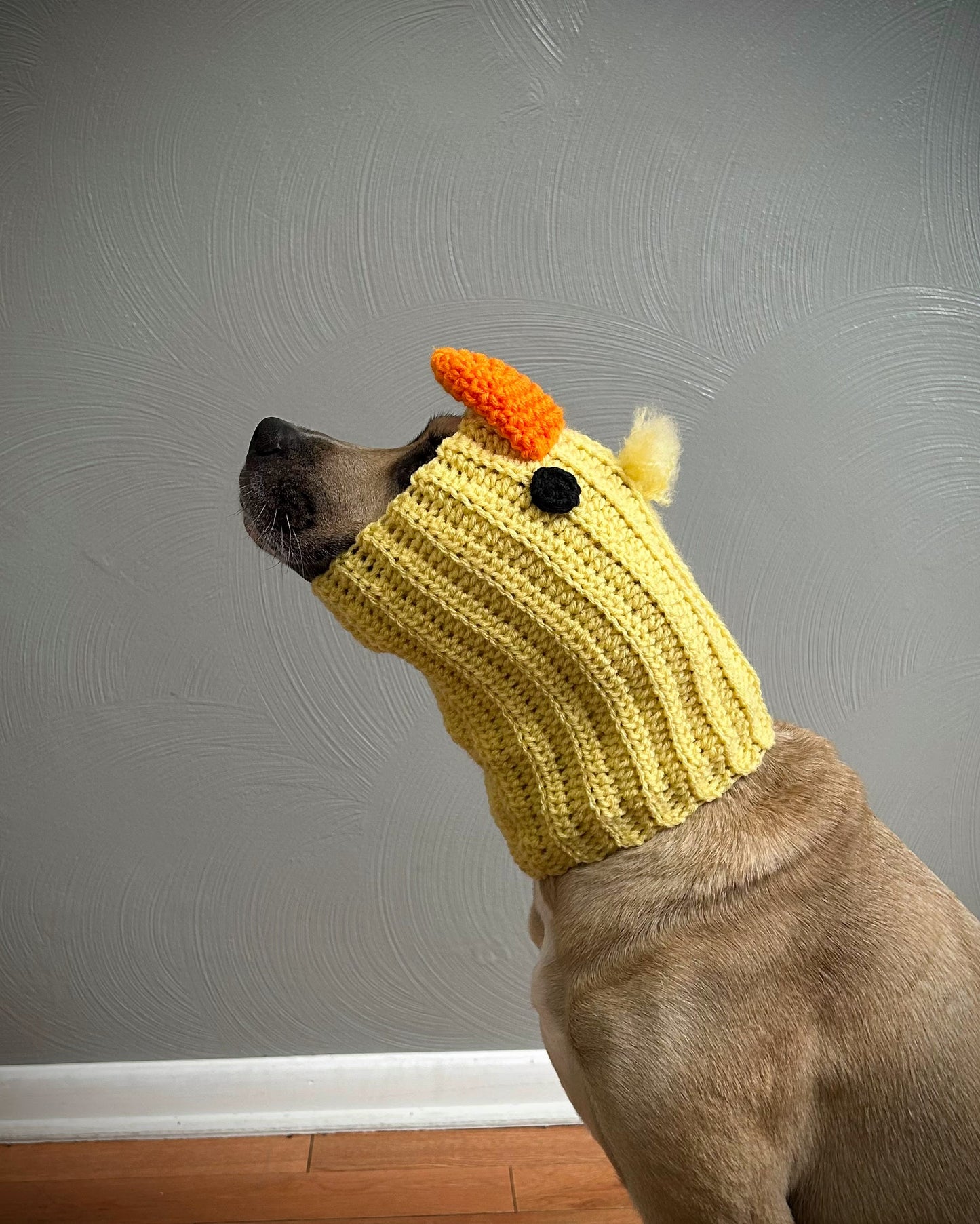 Crochet Duck Dog Snood Pattern