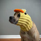 Crochet Duck Dog Snood Pattern