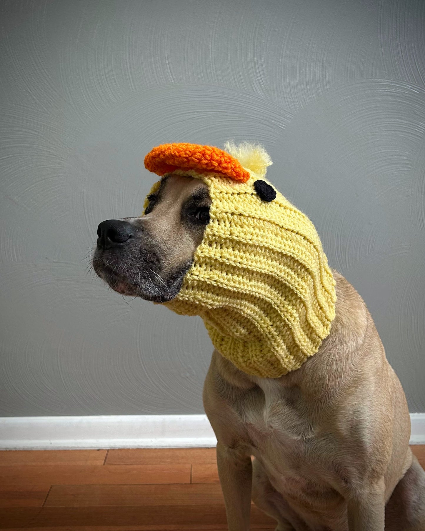 Crochet Duck Dog Snood Pattern