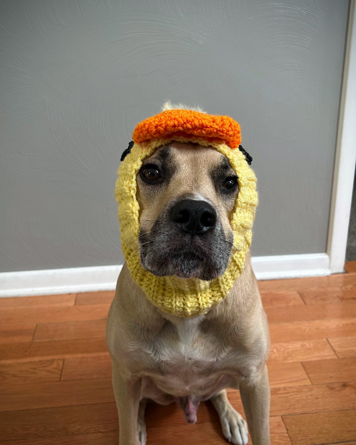 Crochet Duck Dog Snood Pattern