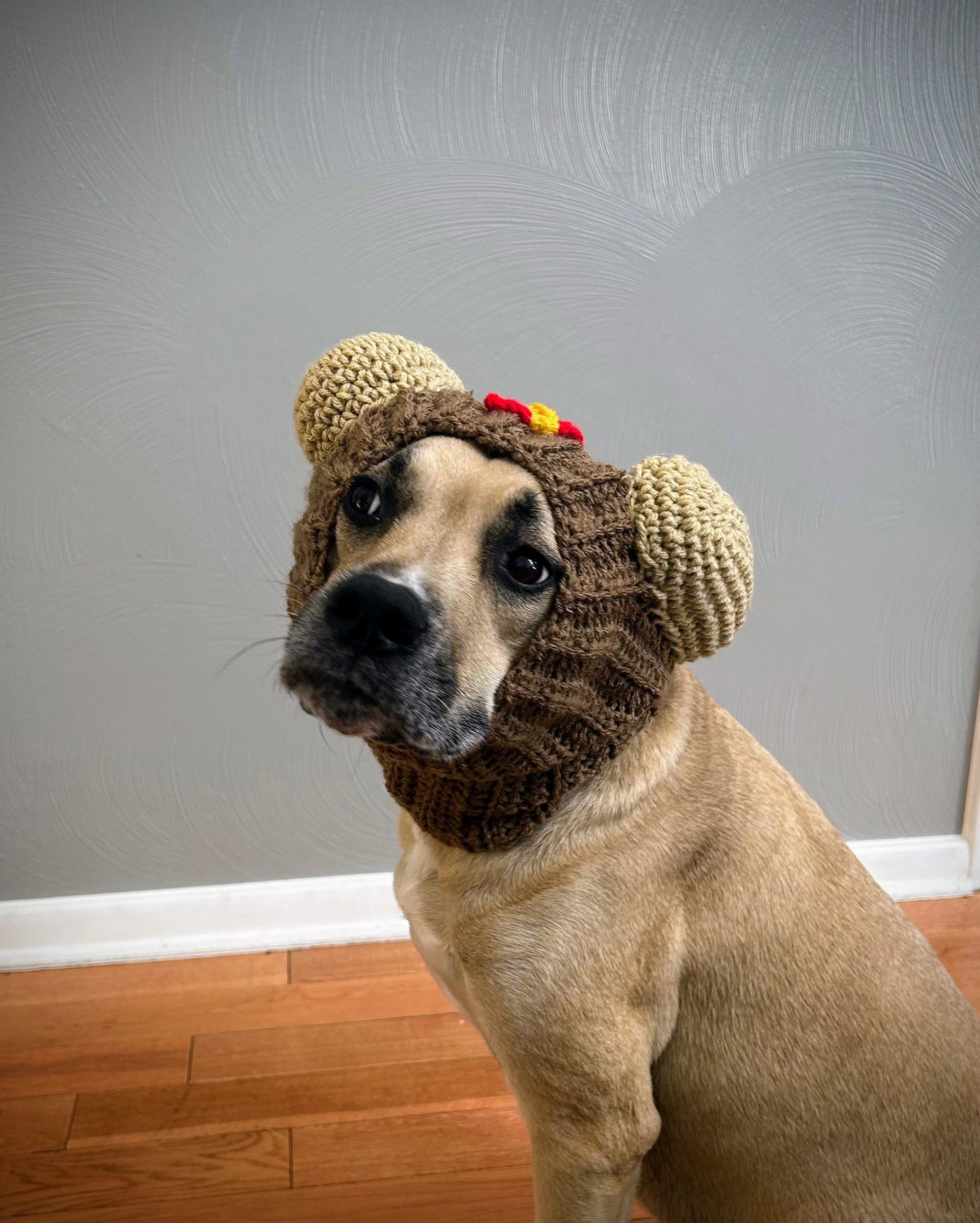 Crochet Hot Dog Dog Snood Pattern