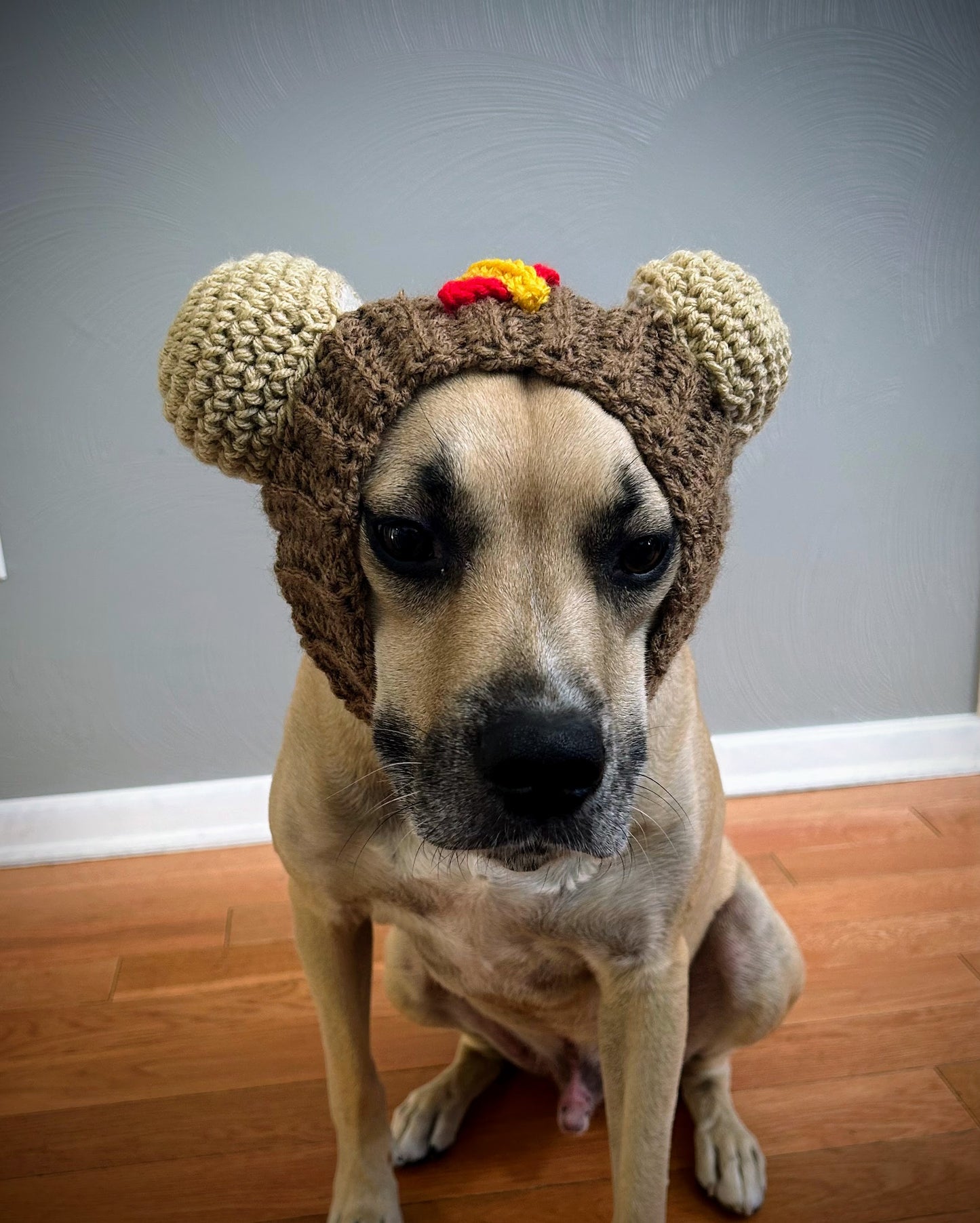 Crochet Hot Dog Dog Snood Pattern