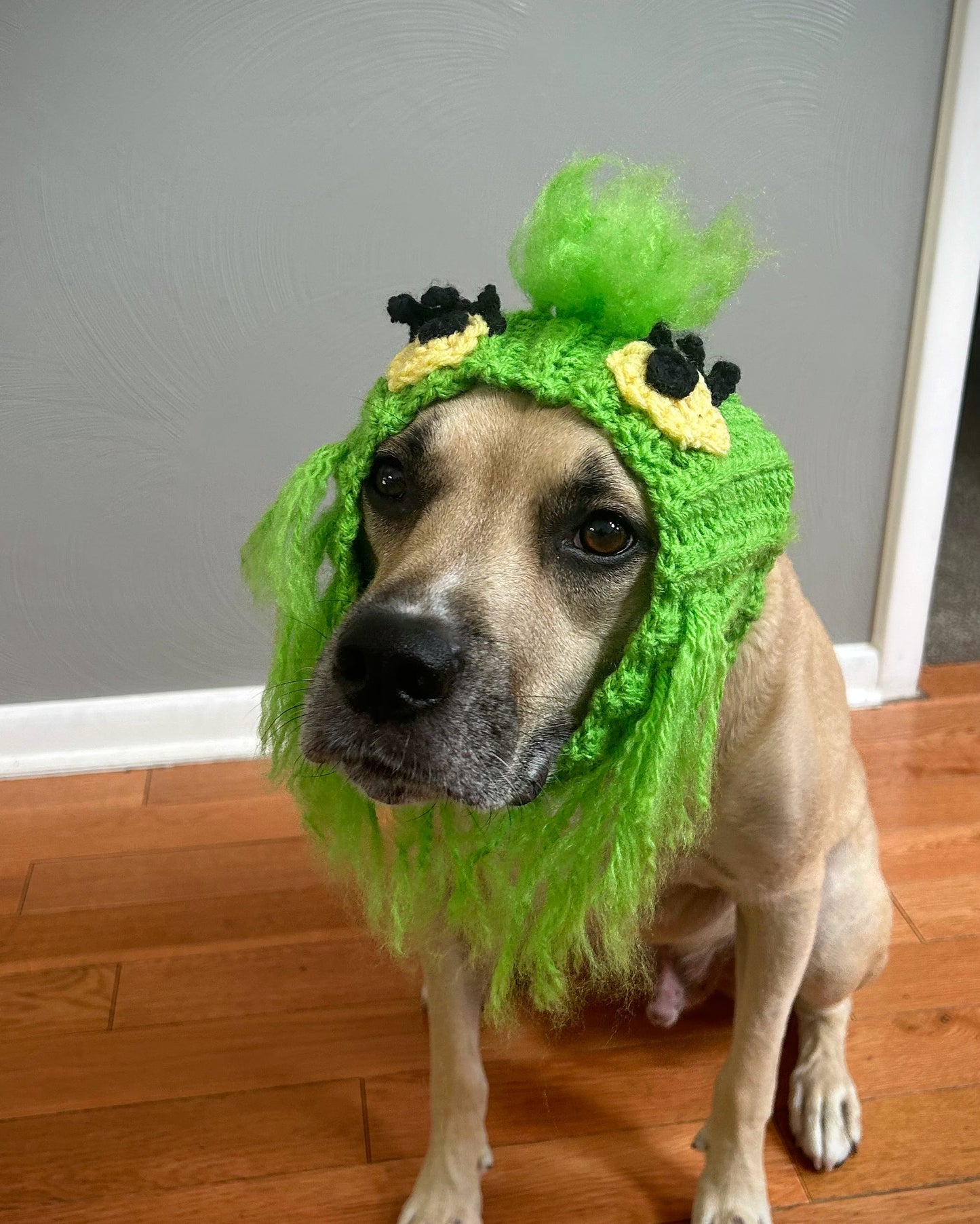 Crochet Christmas Monster Dog Snood Pattern