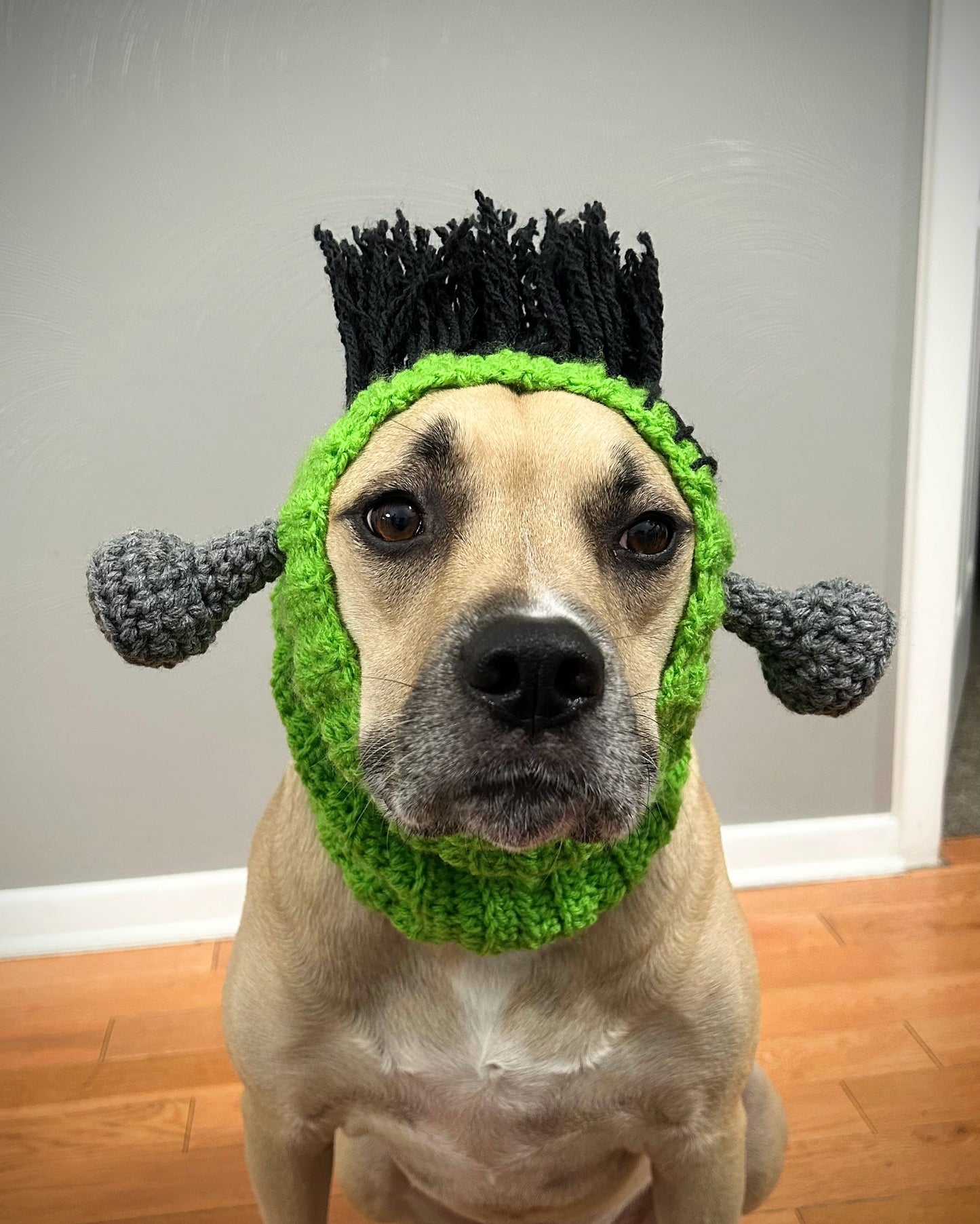 Crochet Frankenstein Dog Snood Pattern