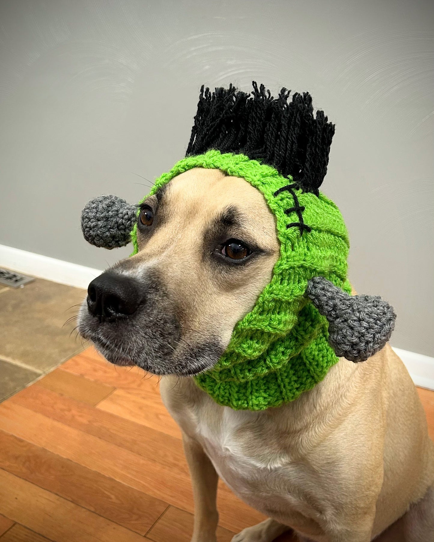 Crochet Frankenstein Dog Snood Pattern