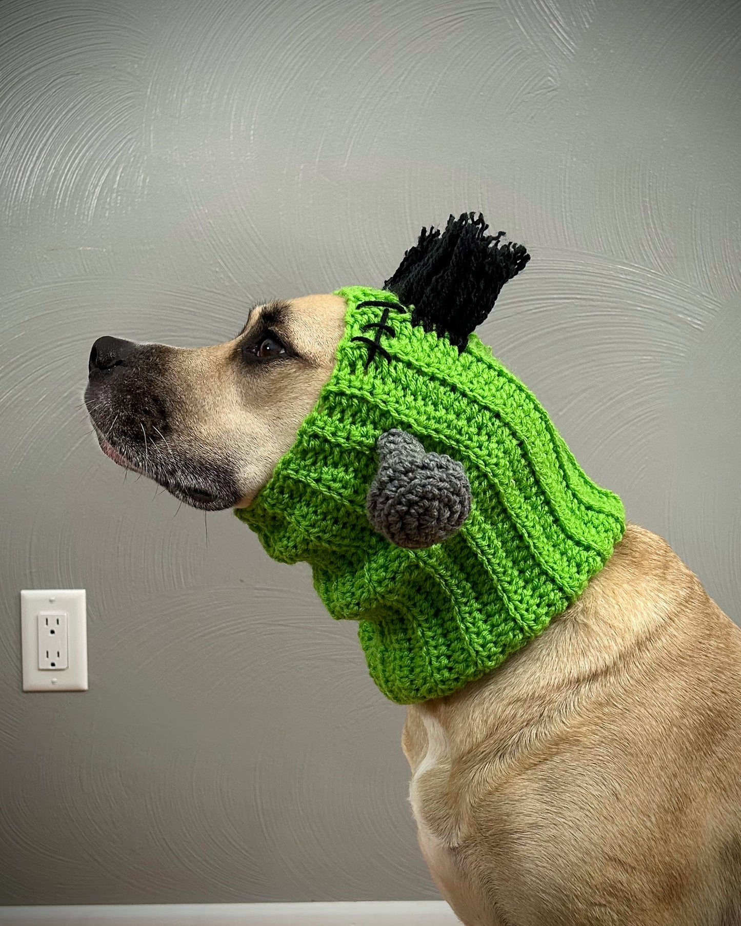 Crochet Frankenstein Dog Snood Pattern