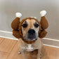 Crochet Dog Thanksgiving Turkey Snood Pattern