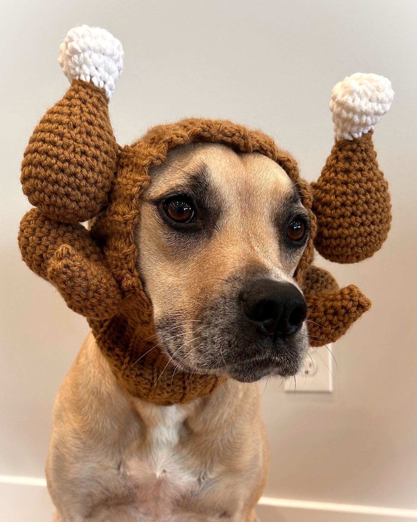 Crochet Dog Thanksgiving Turkey Snood Pattern