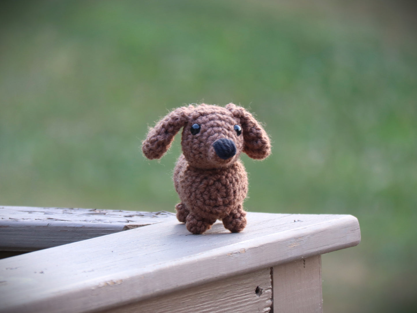 Mini Dachshund Pattern