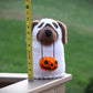 Crochet Ghost Puppy Pattern