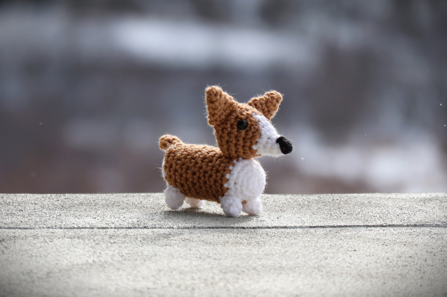 Mini Corgi Pattern