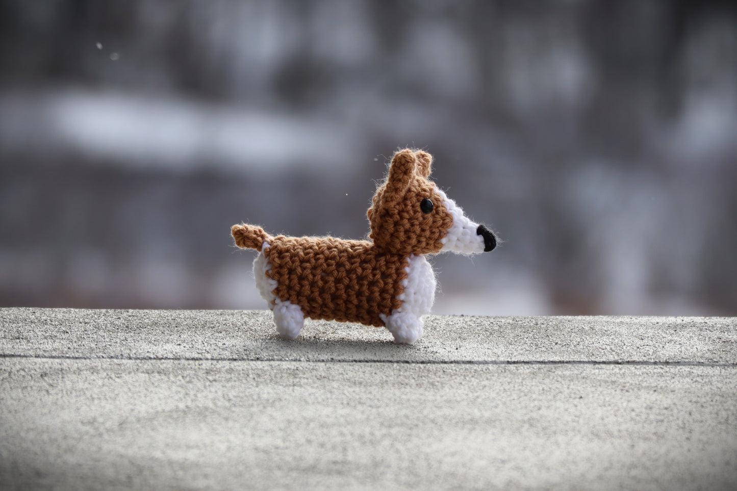 Mini Corgi Pattern