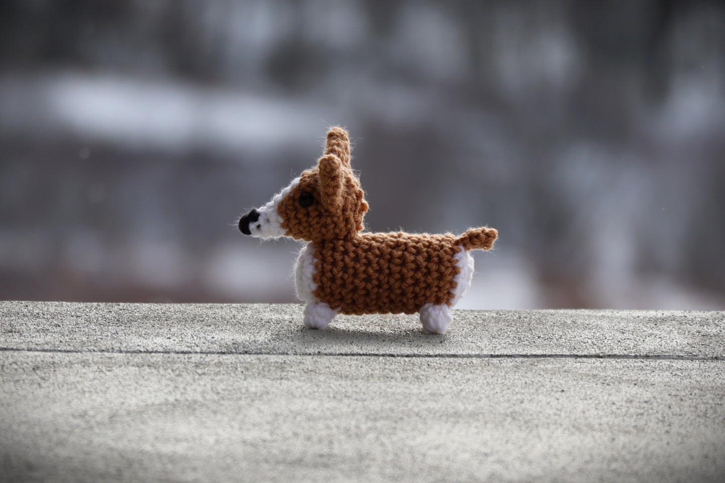 Mini Corgi Pattern