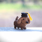 Mini Dachshund Graduation