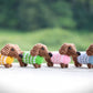 Mini Dachshund with Sweater