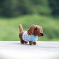 Mini Dachshund in Sweater Pattern