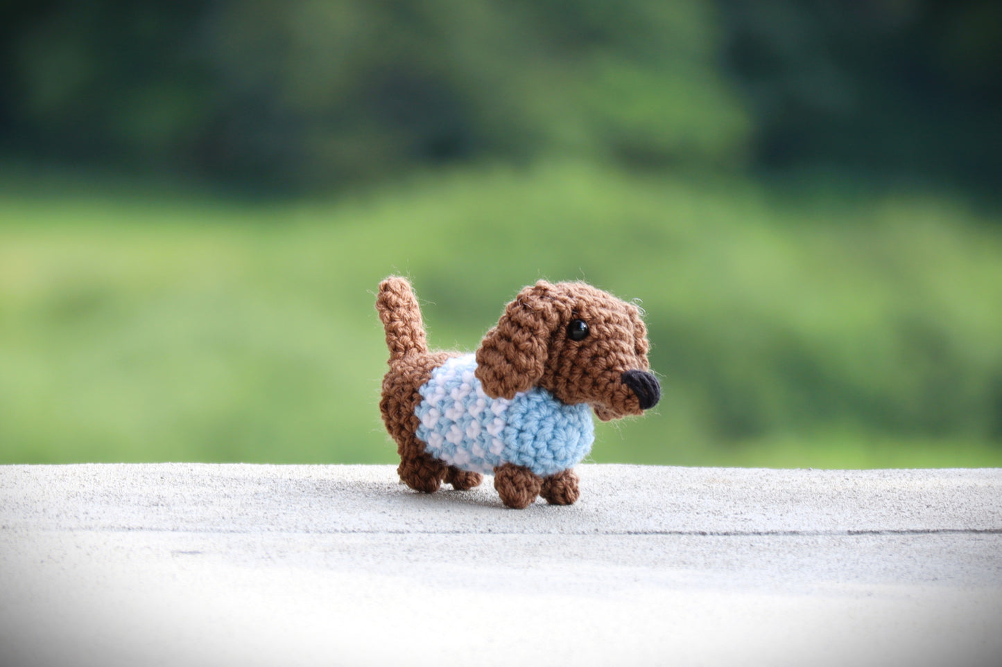 Mini Dachshund in Sweater Pattern