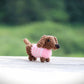 Mini Dachshund in Sweater Pattern