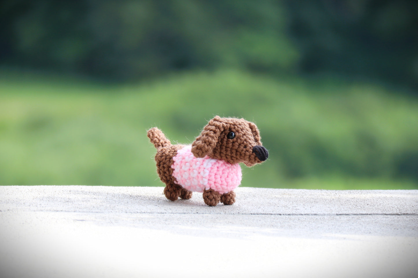 Mini Dachshund in Sweater Pattern