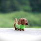 Mini Dachshund with Sweater