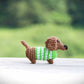 Mini Dachshund with Sweater