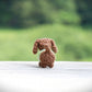 Mini Dachshund with Sweater