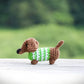 Mini Dachshund with Sweater