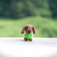 Mini Dachshund with Sweater