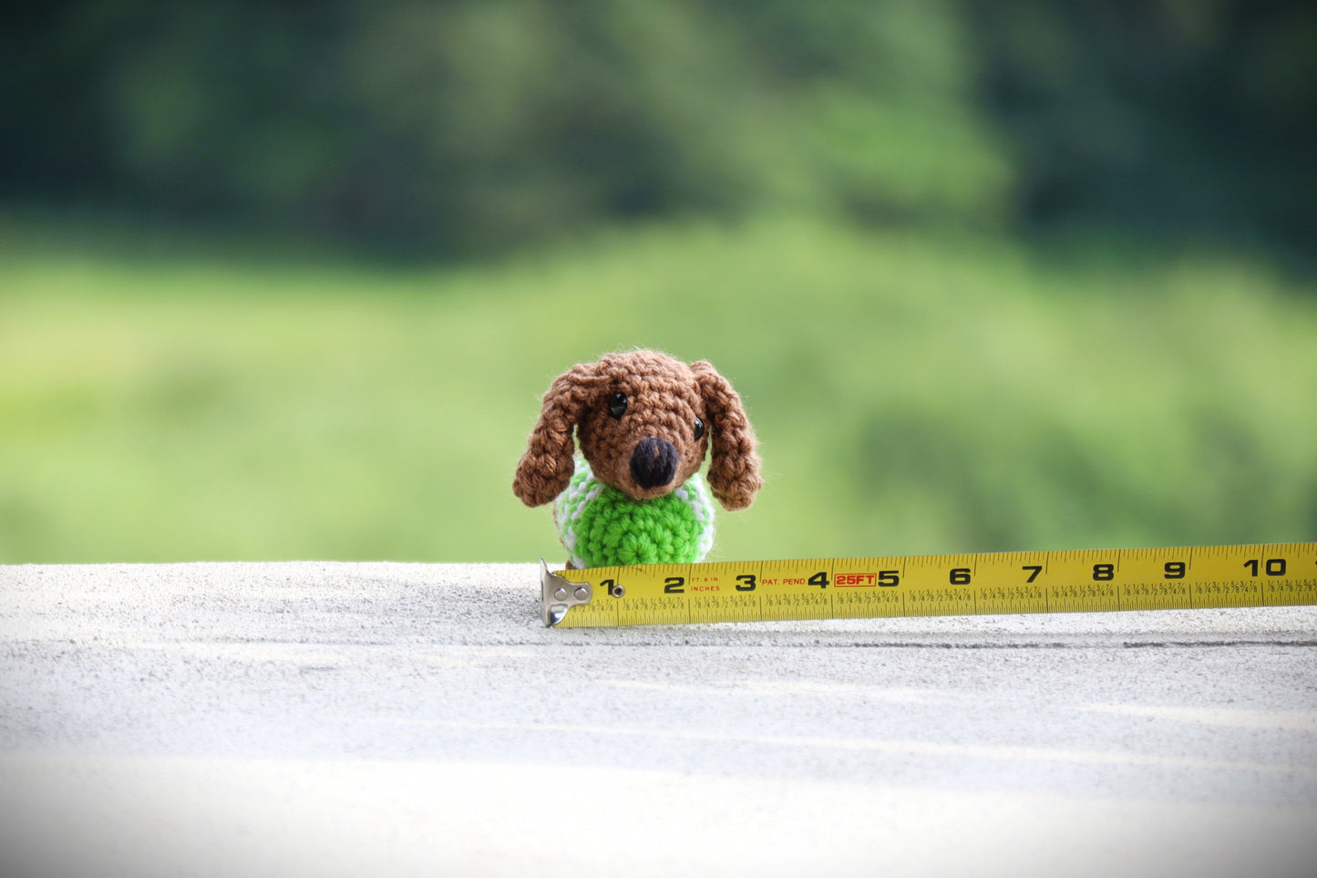 Mini Dachshund in Sweater Pattern