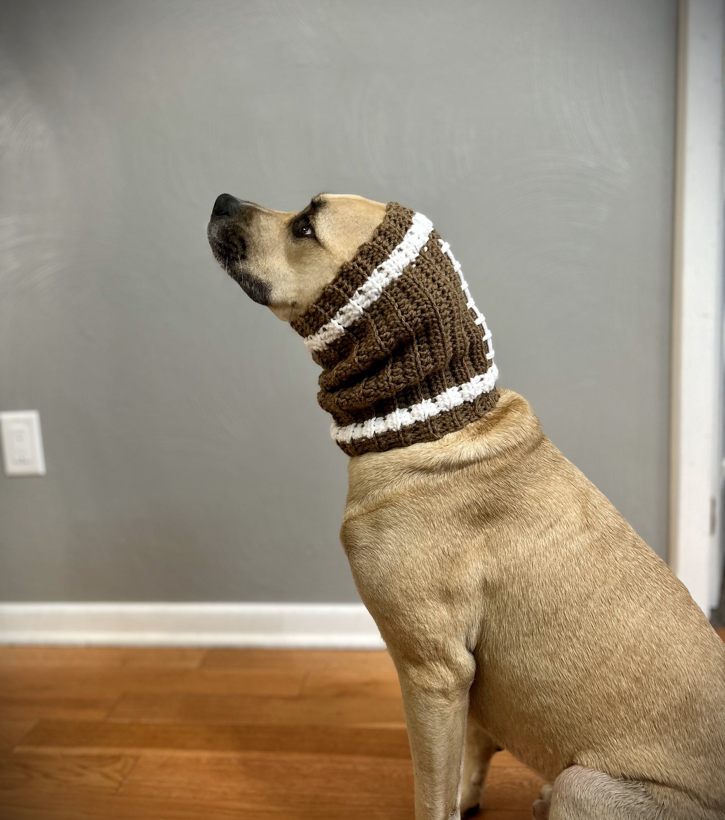 Crochet Dog Football Snood Pattern