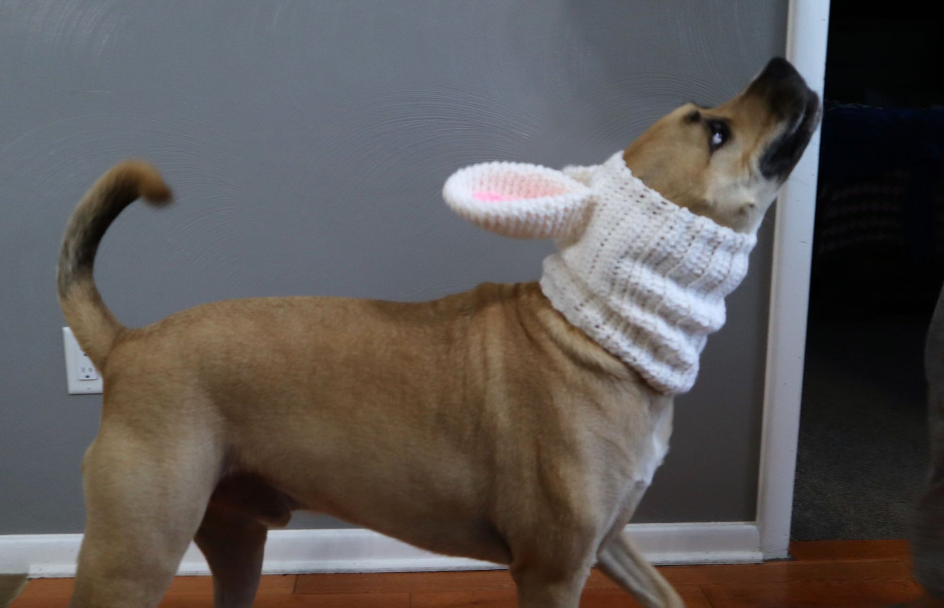 Crochet Dog Bunny Snood Pattern - Main Image